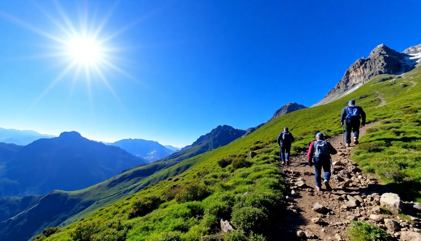Guided trek through scenic mountain landscape with hikers and guides in lush surroundings